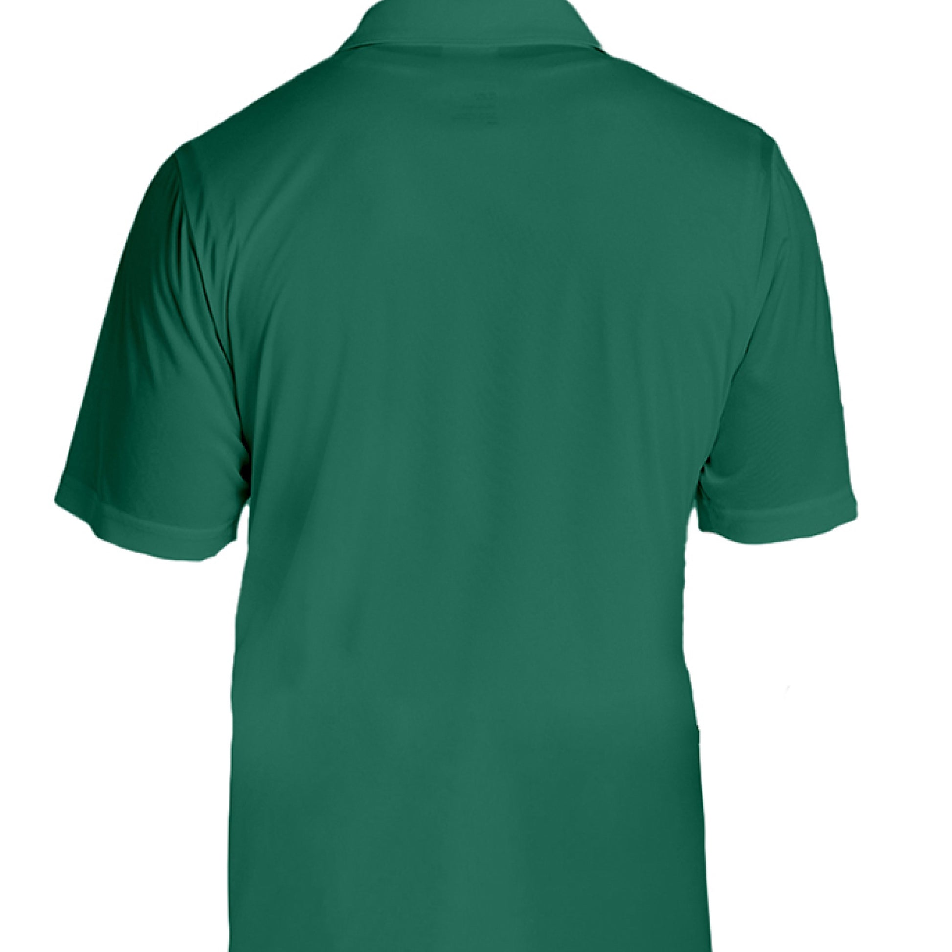 SPORT FOREST - BACK